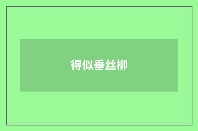 得似垂丝柳