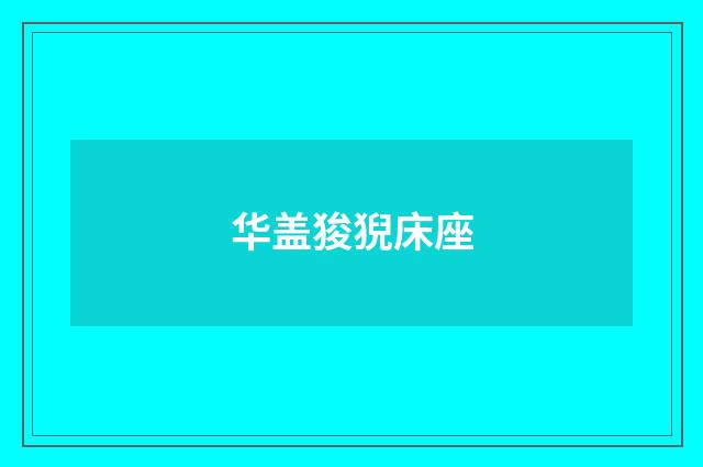 华盖狻猊床座