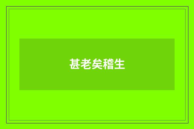 甚老矣稽生