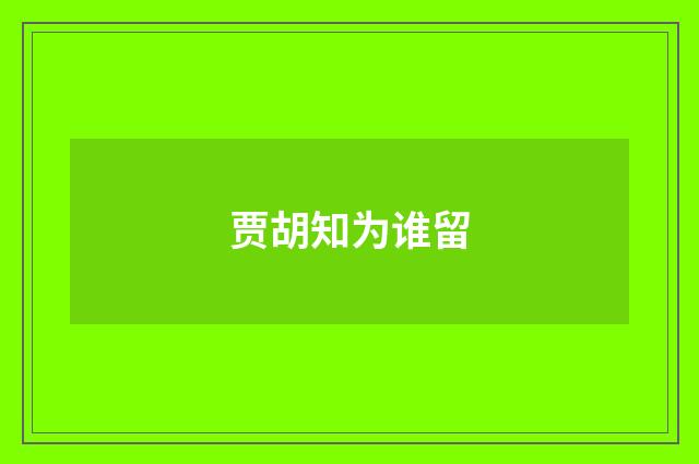 贾胡知为谁留