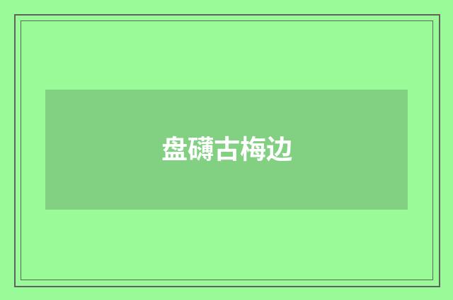 盘礴古梅边