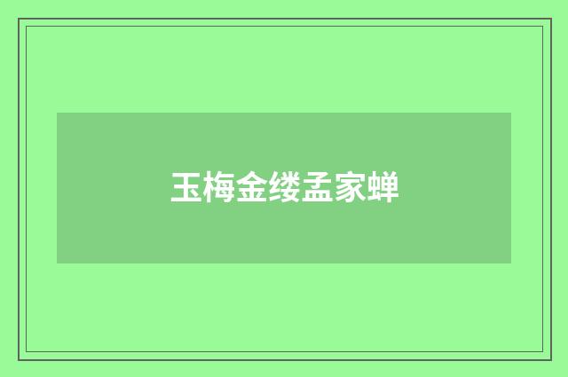 玉梅金缕孟家蝉
