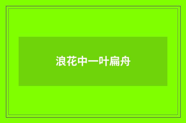 浪花中一叶扁舟