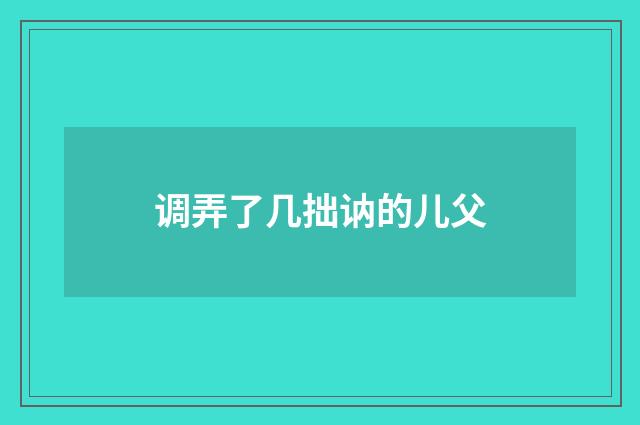 调弄了几拙讷的儿父
