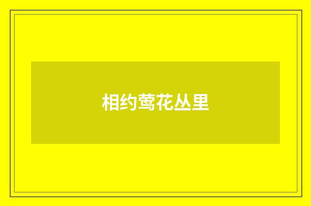 相约莺花丛里