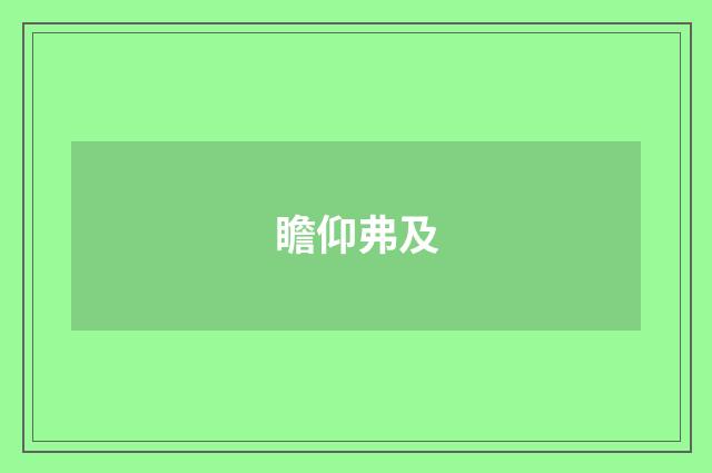 瞻仰弗及