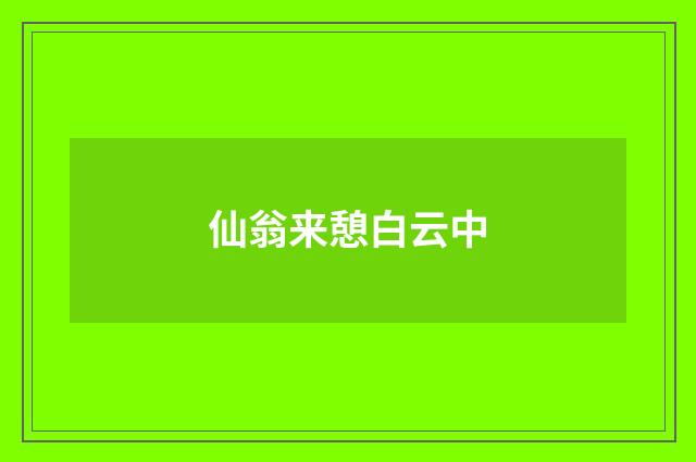 仙翁来憩白云中