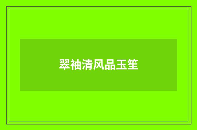 翠袖清风品玉笙