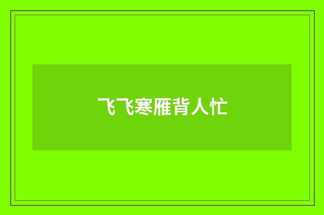 飞飞寒雁背人忙