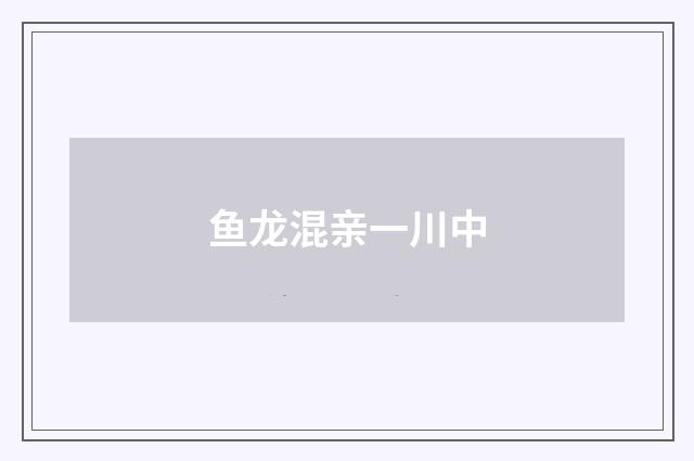 鱼龙混亲一川中