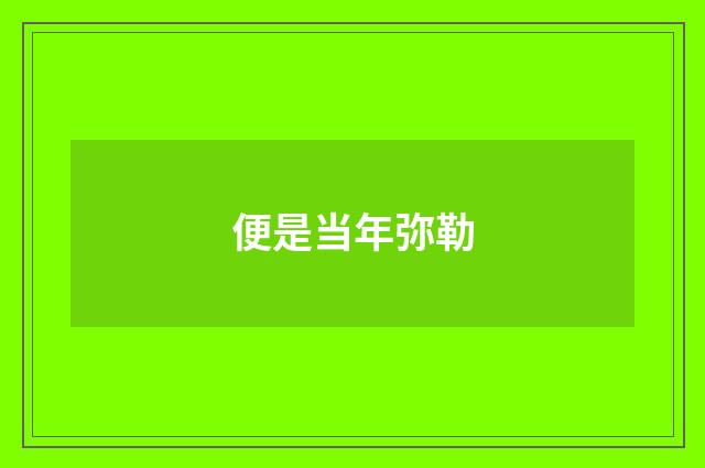 便是当年弥勒