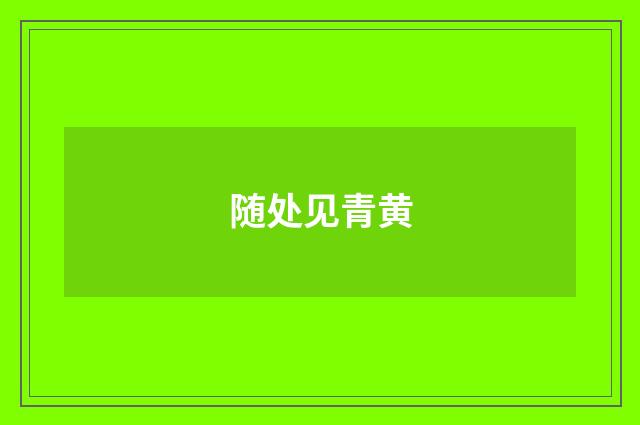 随处见青黄