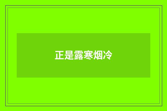 正是露寒烟冷