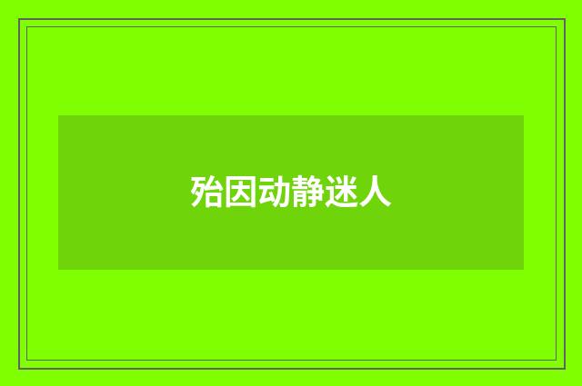 殆因动静迷人