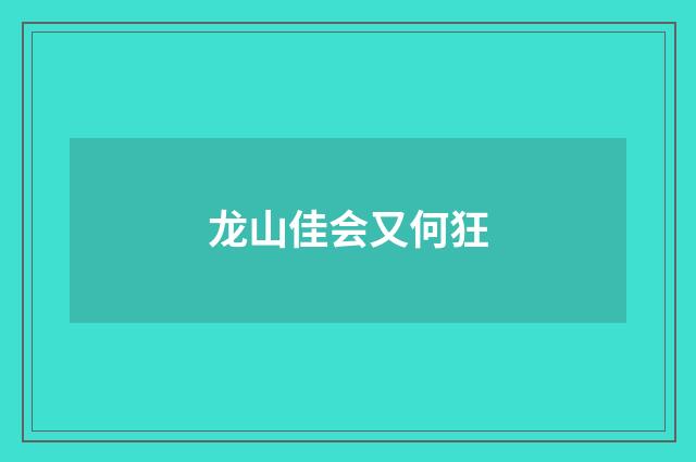 龙山佳会又何狂