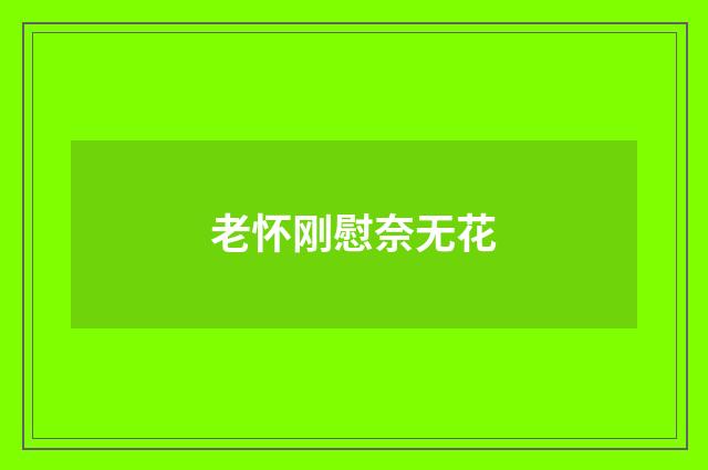 老怀刚慰奈无花