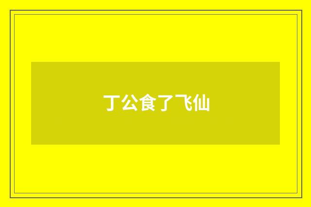 丁公食了飞仙