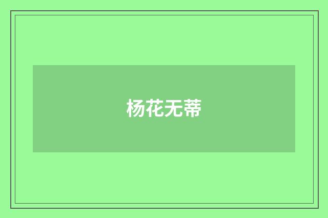 杨花无蒂