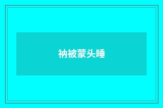 衲被蒙头睡