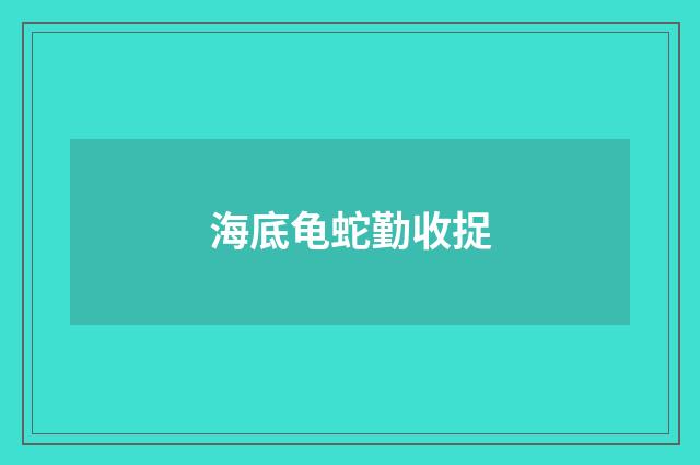 海底龟蛇勤收捉