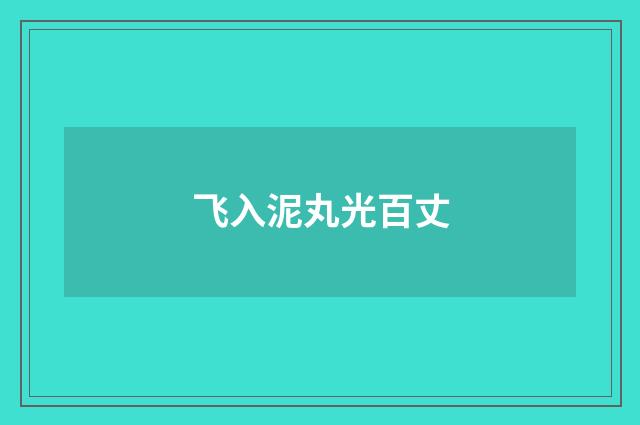 飞入泥丸光百丈