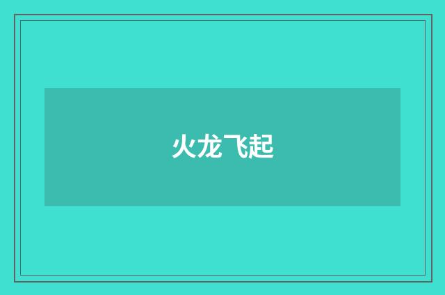 火龙飞起