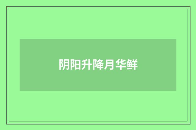 阴阳升降月华鲜