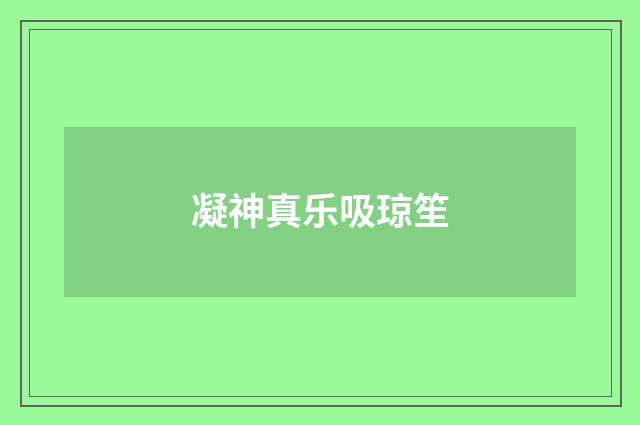 凝神真乐吸琼笙