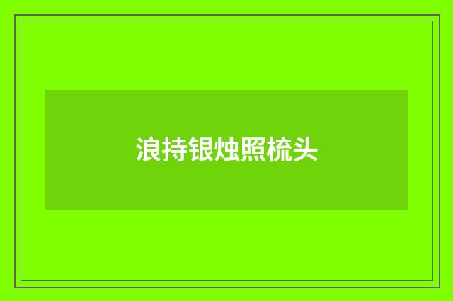 浪持银烛照梳头