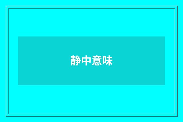 静中意味