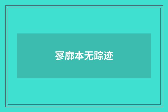 寥廓本无踪迹