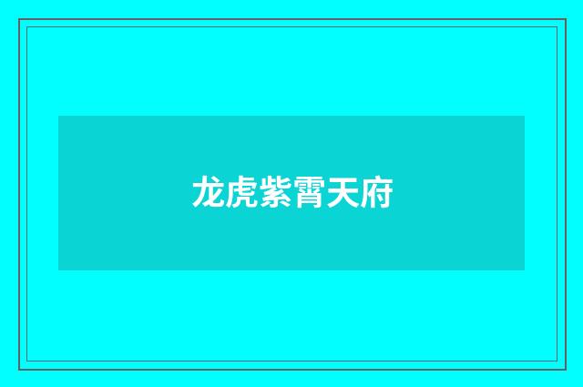 龙虎紫霄天府
