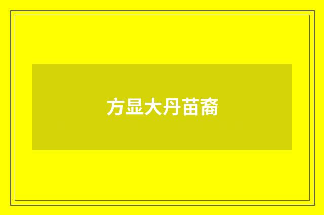 方显大丹苗裔