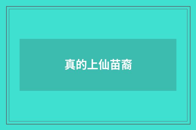 真的上仙苗裔