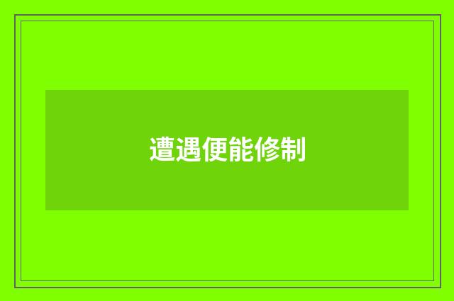 遭遇便能修制