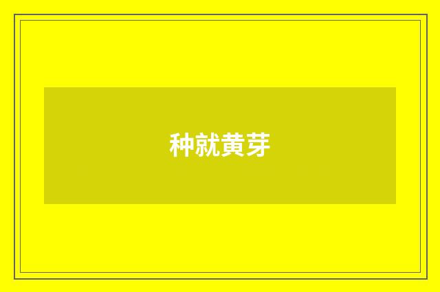 种就黄芽