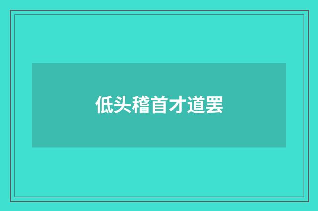 低头稽首才道罢