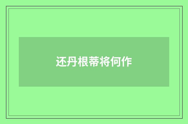 还丹根蒂将何作