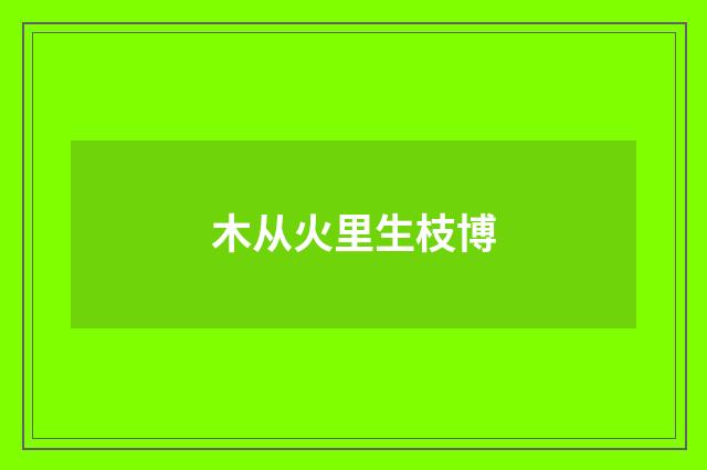 木从火里生枝博