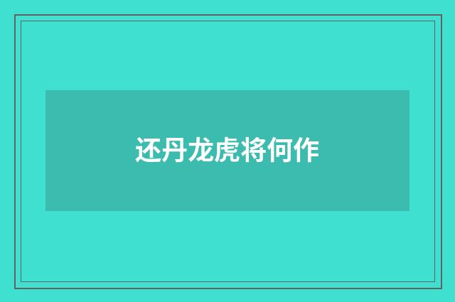 还丹龙虎将何作