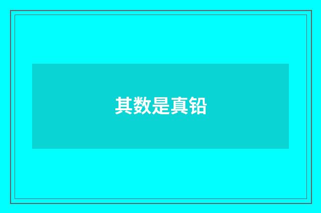 其数是真铅