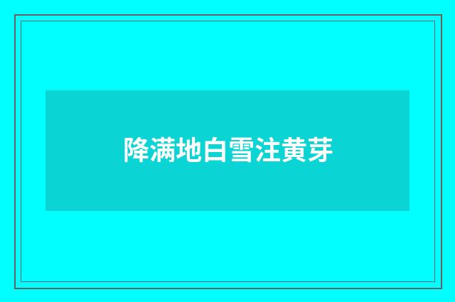 降满地白雪注黄芽