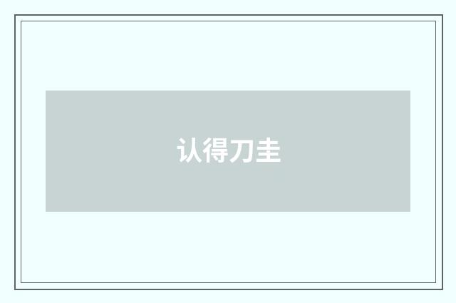 认得刀圭