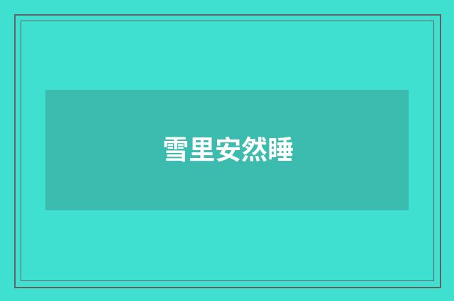 雪里安然睡
