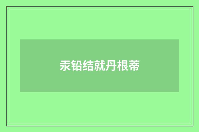 汞铅结就丹根蒂