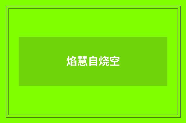 焰慧自烧空