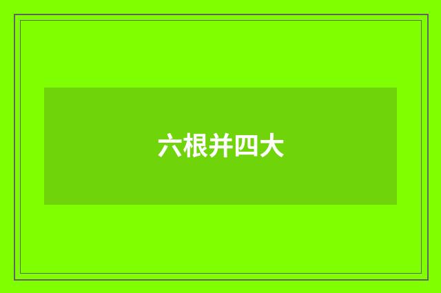 六根并四大