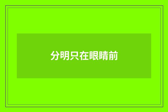 分明只在眼睛前