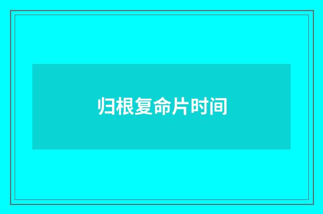 归根复命片时间