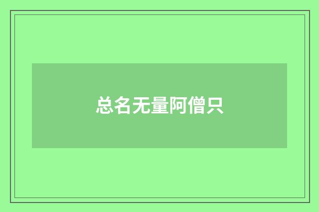 总名无量阿僧只